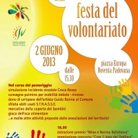 Festa del Volontariato Noventa 2013