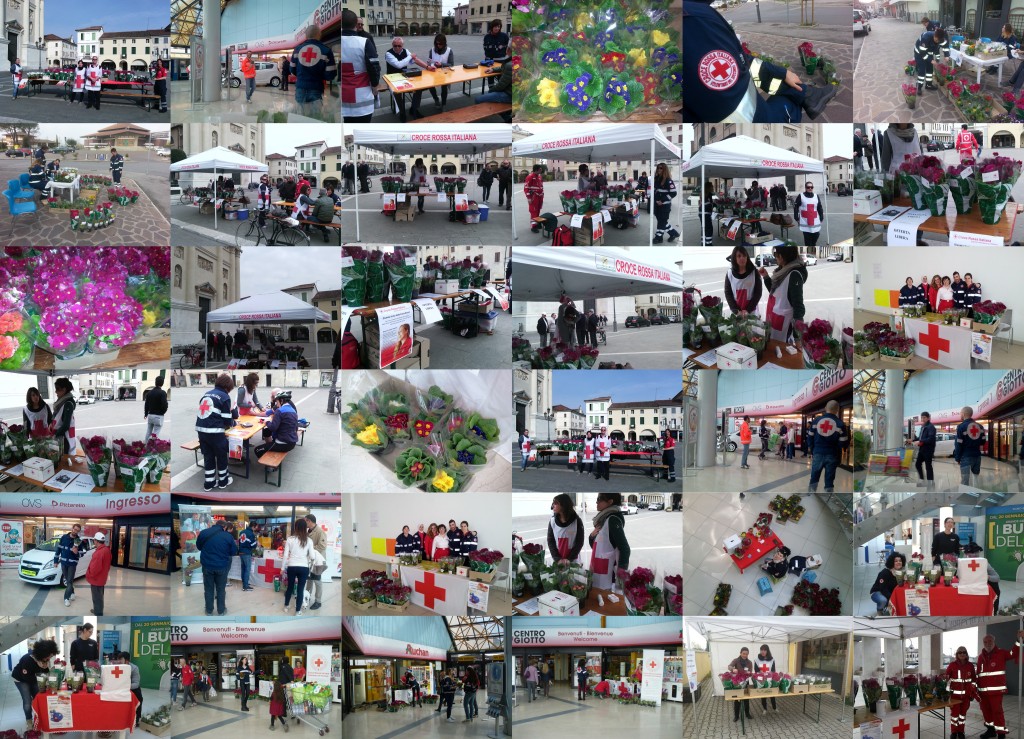 Collage