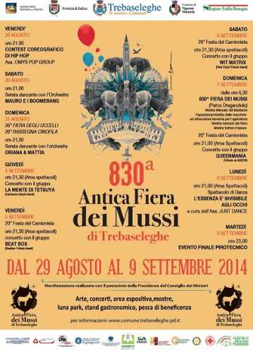 manifesto_fiera_2014_bassa