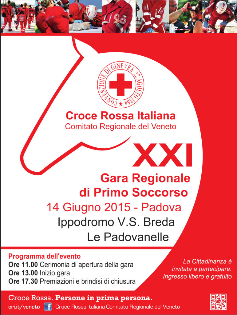 LOCANDINA 2015-programma